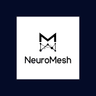 Neuro Mesh